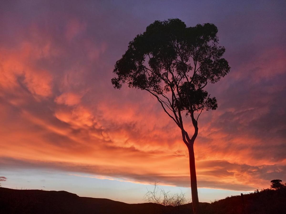 Wolverfontein Karoo Cottages Ladismith Bagian luar foto