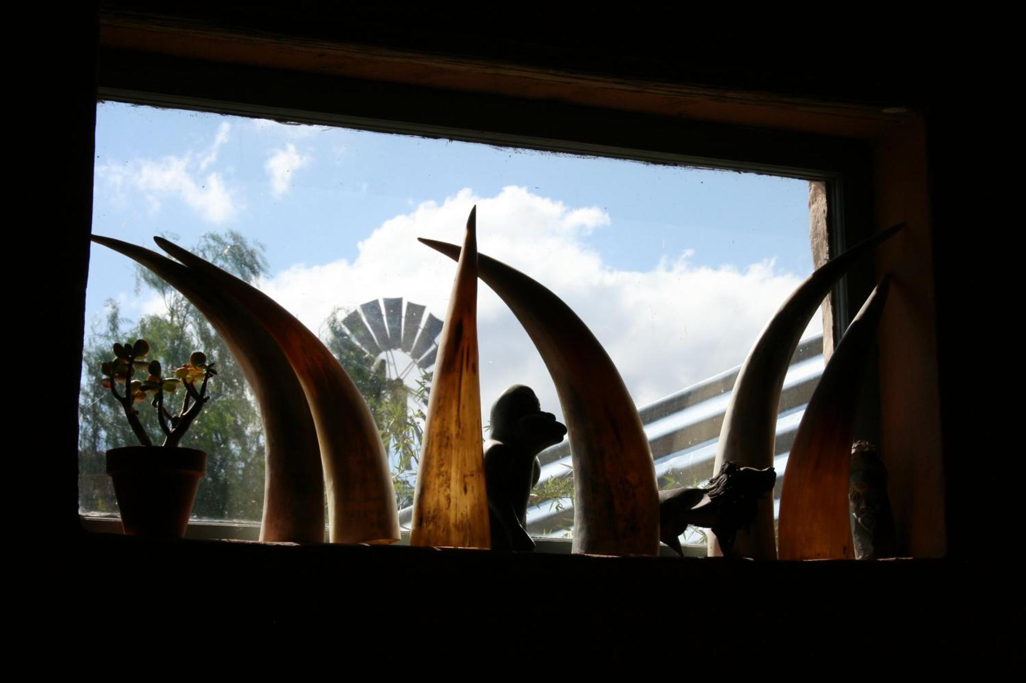 Wolverfontein Karoo Cottages Ladismith Bagian luar foto