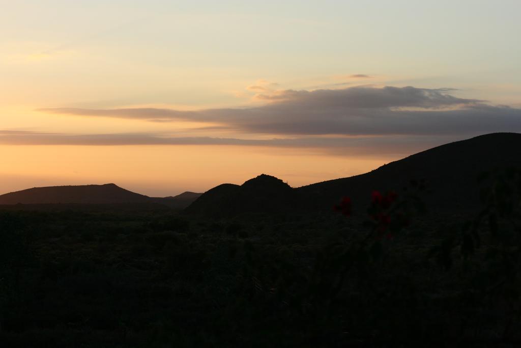 Wolverfontein Karoo Cottages Ladismith Bagian luar foto