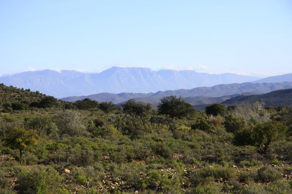 Wolverfontein Karoo Cottages Ladismith Bagian luar foto