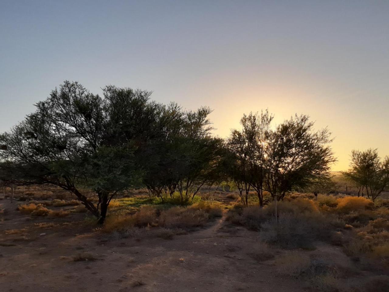 Wolverfontein Karoo Cottages Ladismith Bagian luar foto